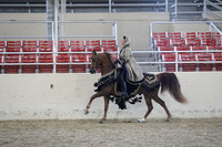 RCAHA19_FriPM_1909