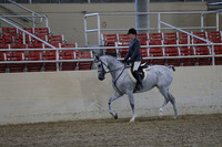 Class 101 Arabian Hunter Pleasure Primetime Rider AATR