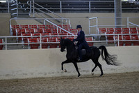 RCAHA19_FriPM_1994