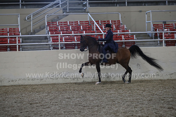 RCAHA19_FriPM_1997