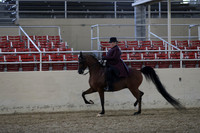 RCAHA19_FriPM_2003