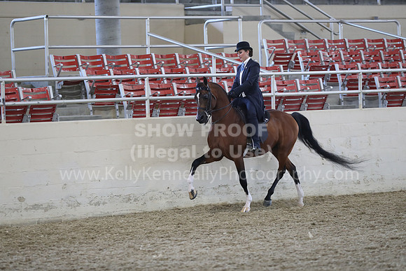 RCAHA19_FriPM_2087