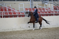 RCAHA19_FriPM_2088