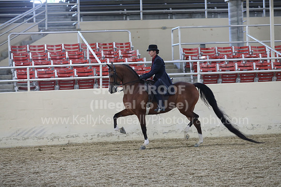 RCAHA19_FriPM_2091