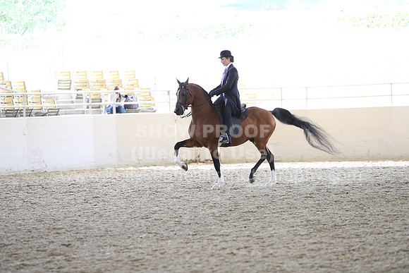 RCAHA19_FriPM_2092