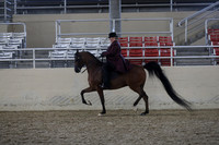 RCAHA19_FriPM_2006