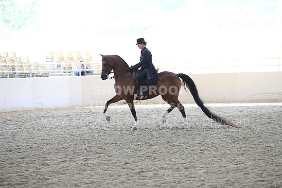 RCAHA19_FriPM_2095