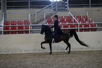 RCAHA19_FriPM_2008