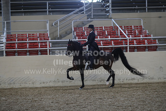 RCAHA19_FriPM_2008