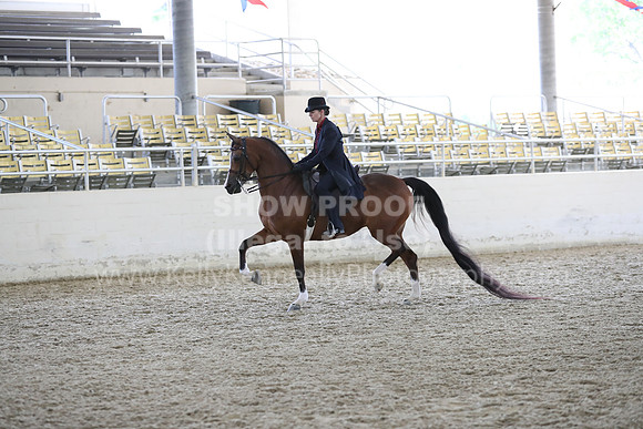 RCAHA19_FriPM_2097