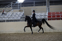 RCAHA19_FriPM_2010
