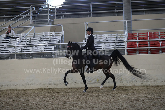 RCAHA19_FriPM_2010
