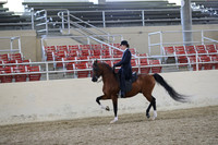 RCAHA19_FriPM_2103