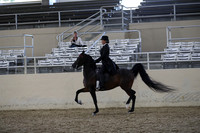 RCAHA19_FriPM_2011