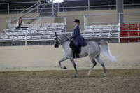 RCAHA19_FriPM_2012