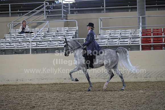 RCAHA19_FriPM_2012
