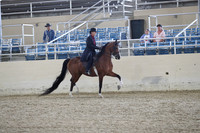 RCAHA19_FriPM_2108