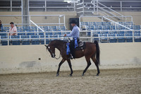 RCAHA19_FriPM_2147