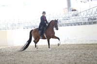 RCAHA19_FriPM_2113