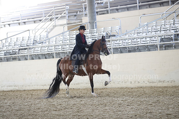 RCAHA19_FriPM_2115