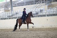 RCAHA19_FriPM_2116