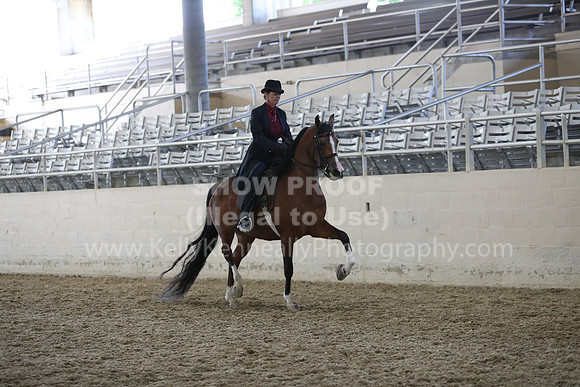 RCAHA19_FriPM_2120