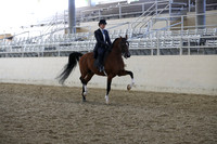 RCAHA19_FriPM_2122
