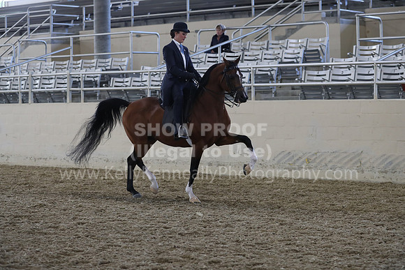 RCAHA19_FriPM_2123