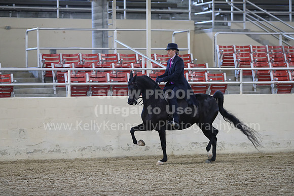 RCAHA19_FriPM_2019