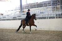 RCAHA19_FriPM_2125