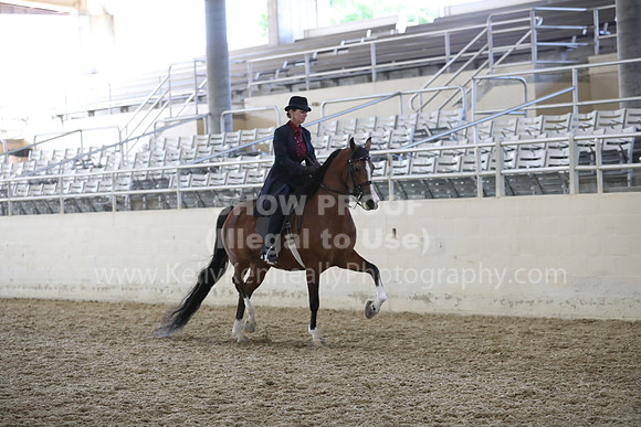 RCAHA19_FriPM_2125