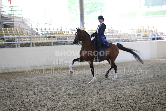 RCAHA19_FriPM_2128