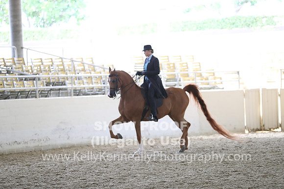 RCAHA19_FriPM_2166
