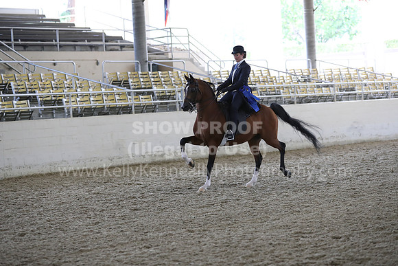 RCAHA19_FriPM_2129