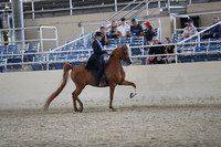 RCAHA19_FriPM_2173