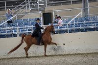 RCAHA19_FriPM_2174