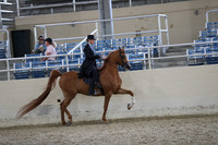 RCAHA19_FriPM_2175