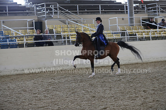 RCAHA19_FriPM_2131