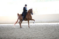 RCAHA19_FriPM_2176