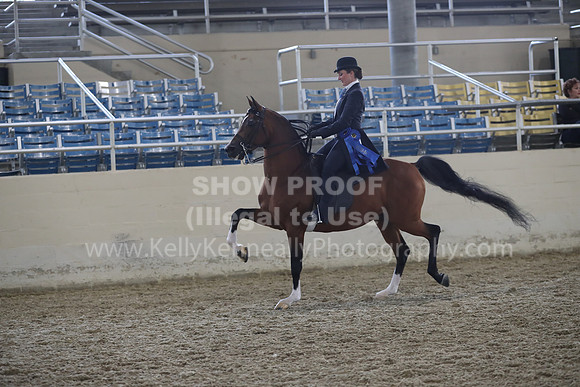 RCAHA19_FriPM_2133