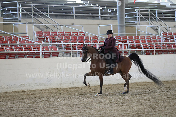 RCAHA19_FriPM_2028