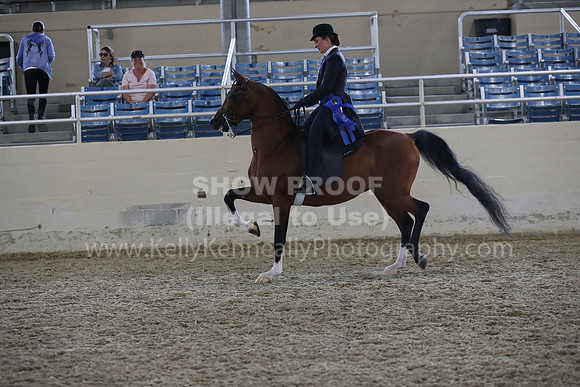 RCAHA19_FriPM_2135