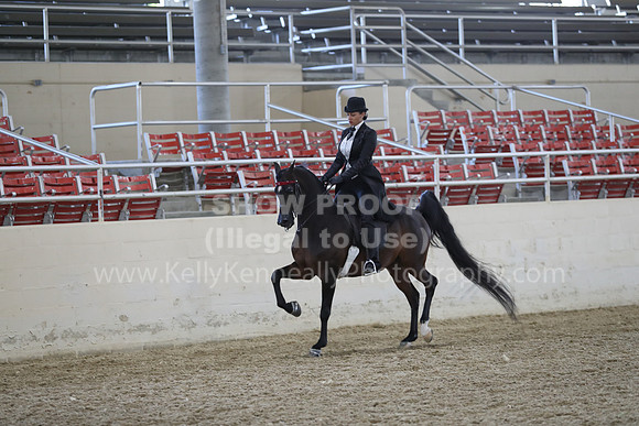 RCAHA19_FriPM_2036