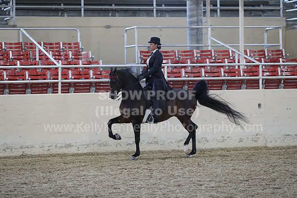 RCAHA19_FriPM_2039