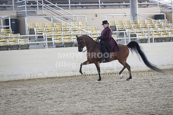 RCAHA19_FriPM_2044