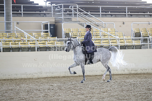 RCAHA19_FriPM_2048
