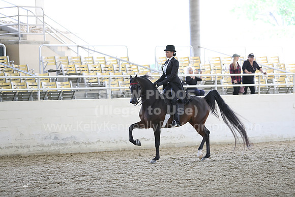 RCAHA19_FriPM_2051