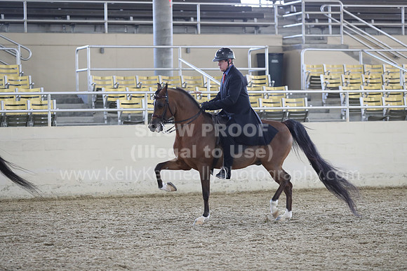 RCAHA19_FriPM_2055