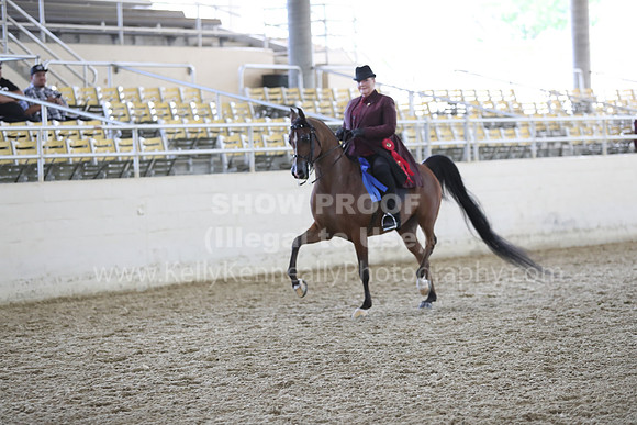 RCAHA19_FriPM_2065