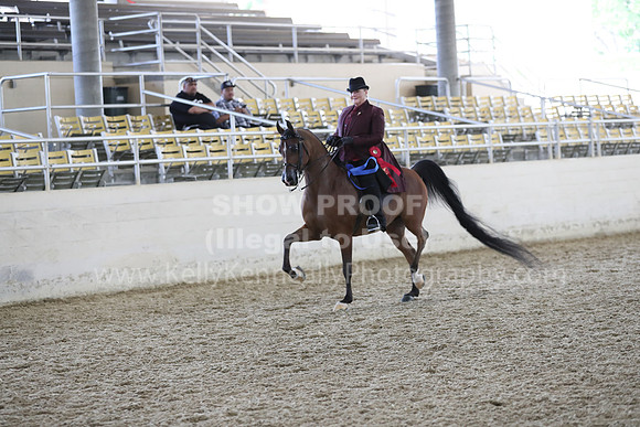 RCAHA19_FriPM_2066